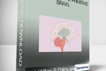 Rick Wilkes & Cathy VArtuli - Trauma and the Primitive Brain