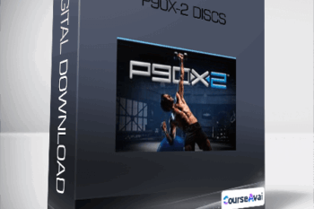 P90X-2 DISCS