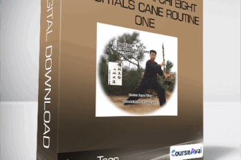 Jesse Tsao - Traditional Tai Chi Eight Immortals Cane Routine One