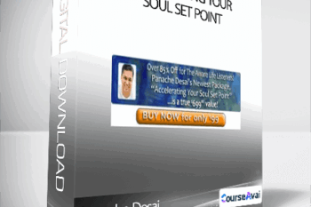 Accelerating your Soul Set Point-Panache Desai