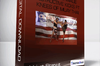 Maximum Damage Destructive Kicks ft Knees of Muay Thai-Malaipet Sitarvut