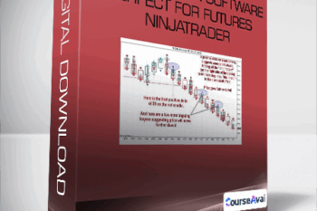 Flow Indicator Software Perfect for Futures Ninjatrader