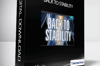 Sam Visnic - Back To Stability