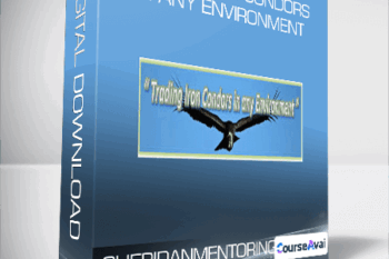SHERIDANMENTORING - TRAING IRON CONDORS IN ANY ENVIRONMENT
