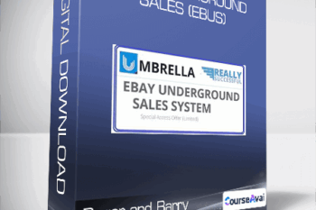 Roger and Barry - eBay Underground Sales (eBus)