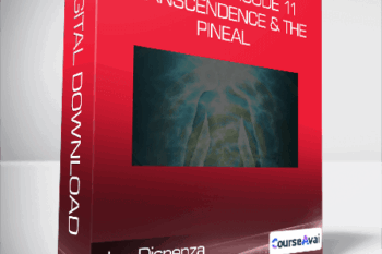 Joe Dispenza - Rewired Episode 11: Transcendence & the Pineal