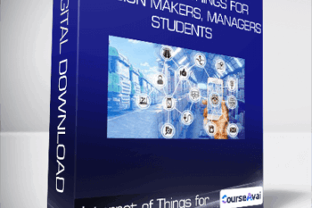 Internet of Things for Decision Makers