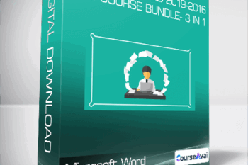 Microsoft Word 2019-2016-2013 Course Bundle- 3 In 1