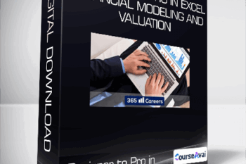 Beginner to Pro in Excel Financial Modeling and Valuation