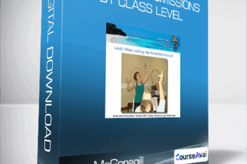 Lynn McGonagill - Energy Transmissions by Class Level