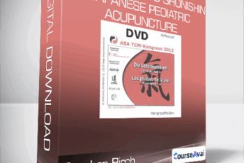 Stephen Birch - Introduction to Shonishin: Japanese Pediatric Acupuncture