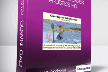Connirae Andreas - 3 Days Wholeness Process HQ