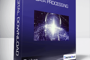 Python - Data Processing