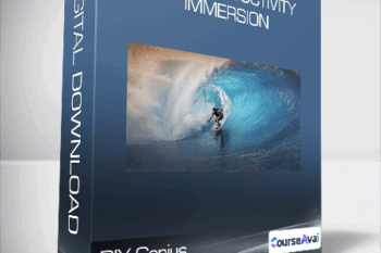 DIY Genius - Flow Productivity Immersion