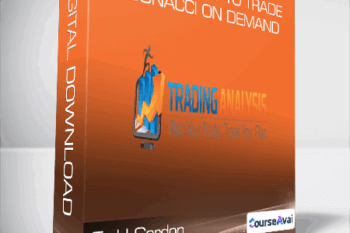 Todd Gordon - The Best Way to Trade Fibonacci On Demand