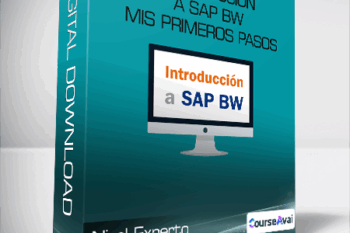 Nivel Experto - Introducción a SAP BW Mis primeros pasos