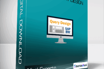 Nivel Experto - SAP BW Query Design