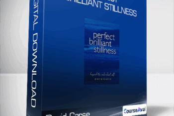 David Carse - Perfect Brilliant Stillness