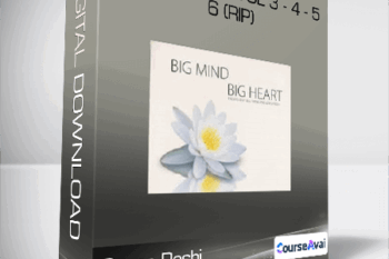 Genpo Roshi - Big Mind DVD Vol 3 - 4 - 5 - 6 (Rip)