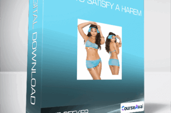 The Seeker - How to Satisfy a Harem