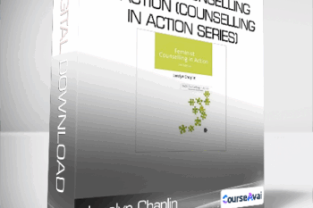 Jocelyn Chaplin - Feminist Counselling in Action (Counselling in Action series)