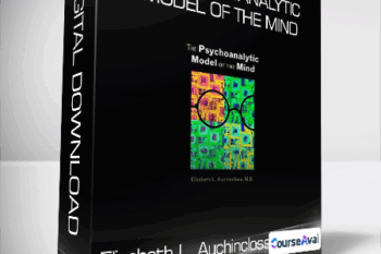 Elizabeth L. Auchincloss - The Psychoanalytic Model of the Mind
