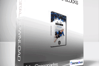 Nic Gregoriades - BJJ Building Blocks