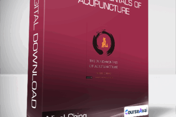 Nigel Ching & Charles Buck - The Fundamentals of Acupuncture