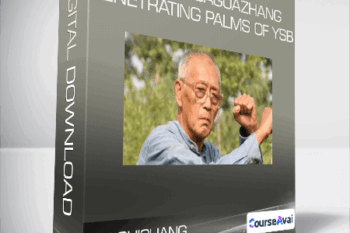 Liu Shichang - Yin style Baguazhang - Penetrating Palms of YSB