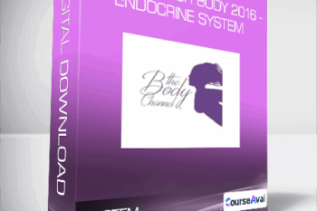 Rebuild Your Body 2016 - Endocrine System