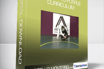 Marcello Monteiro - BJJ Blue to Purple Curriculum