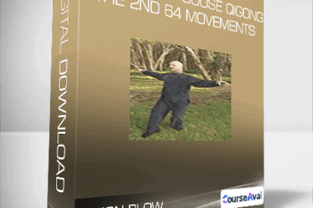 Simon Blow - Da Yan Wild Goose Qigong The 2nd 64 movements
