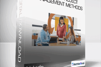 Linkedin - Blending Project Management Methods