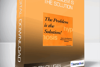 Stephen Gilligan - The Problem is The Solution