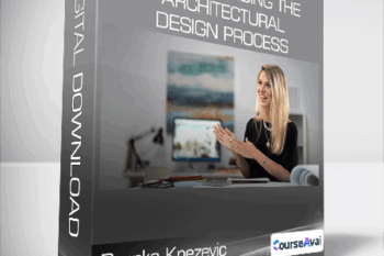 Branka Knezevic - Understanding the Architectural Design Process