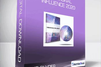 David Snyder - Vibrational Influence 2020