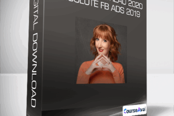 Claire Pelletreau 2020 - Absolute FB Ads 2019