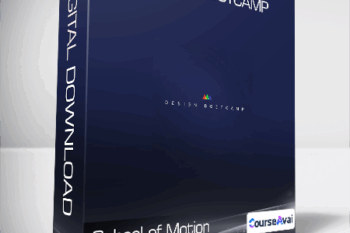 School of Motion - Design Bootcamp