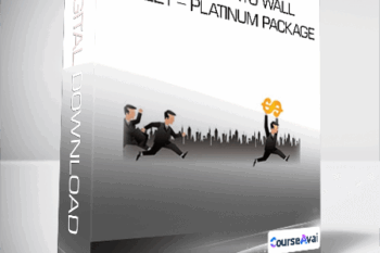 Breaking Into Wall Street - Platinum Package