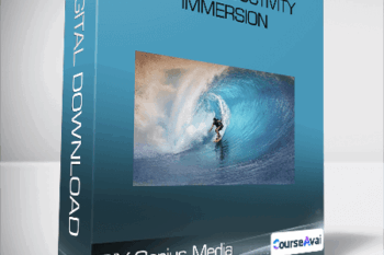 DIY Genius Media - Flow Productivity Immersion