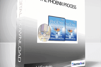 Gerald Epstein - The Phoenix Process