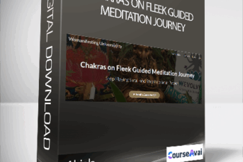 Abiola - Chakras on Fleek Guided Meditation Journey