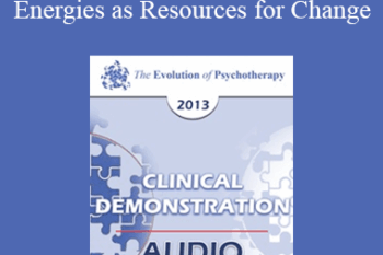 EP13 Clinical Demonstration 04 - Accessing and Applying Archetypal Energies as Resources for Change and Healing (Live) - Robert Dilts