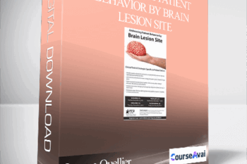 Addressing Patient Behavior by Brain Lesion Site: Clinical Tools & Strategies Specific to Patient Deficits - Jerome Quellier