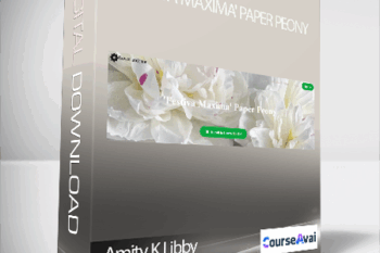 Amity K Libby - 'Festiva Maxima' Paper Peony