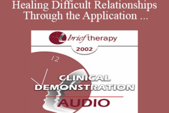 [Audio Only] BT02 Clinical Demonstration 10 - Healing Difficult Relationships Through the Application of Different Perceptual Positions - Robert Dilts