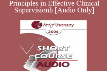 [Audio Only] BT06 Short Course 26 - Ericksonian Principles in Effective Clinical Supervision: Teaching Therapy from the Inside Out - David Barnum