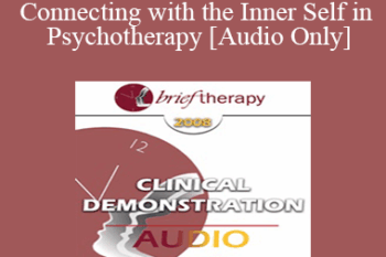 [Audio Only] BT08 Clinical Demonstration 03 - Connecting with the Inner Self in Psychotherapy - Stephen Gilligan