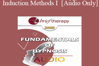 [Audio Only] BT08 Fundamentals of Hypnosis 03 - Induction Methods I - Stephen Gilligan