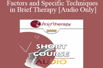 [Audio Only] BT08 Short Course 10 - Common Factors and Specific Techniques in Brief Therapy: A Solution-Focused Perspective - Ellen Quick